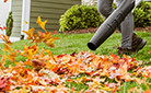 Fall Lawn Care Tips
