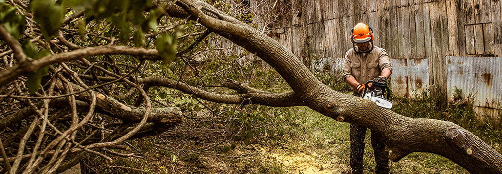 Corporate Associations