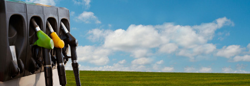 Gasoline Guidelines for STIHL Outdoor Power Equipment