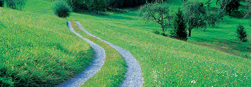 The Road to Green is Orange