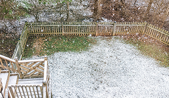 Evaluate Your Landscape Over Winter