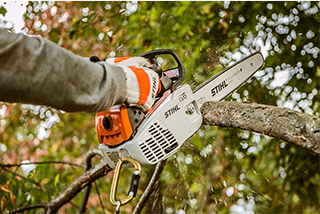 How to Hire A Tree Care Professional 