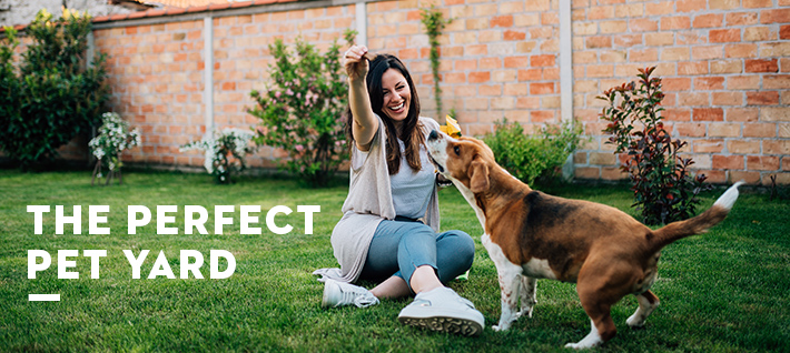 Sara Bendrick Pet Gardening Tips