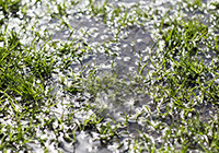Wet Weather Lawn Care