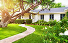 Add Curb Appeal to Your Home
