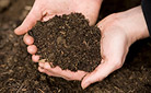 Composting Tips