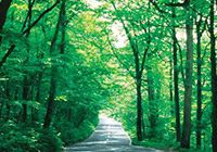 Download Brochure (PDF)