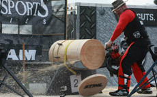 Disciplines Disciplines