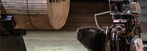 About STIHL TIMBERSPORTS® Series